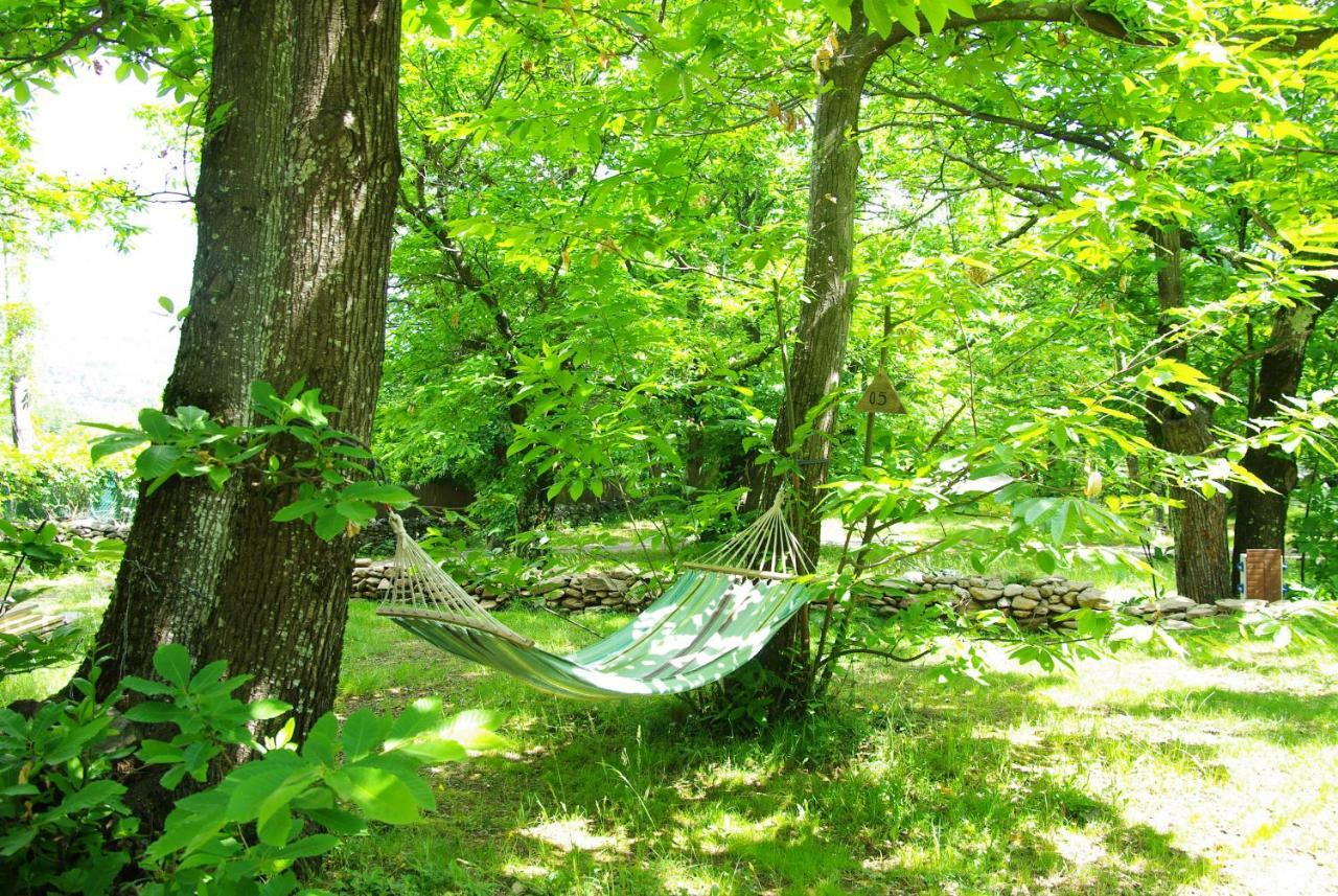 Camping La Chataigneraie Gravieres Exteriér fotografie
